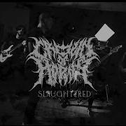 CROWN OF HORNS SLAUGHTERED OFFICIAL MUSIC VIDEO