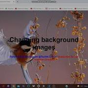 Full Screen Background Image Slider Using HTML And CSS Only Changing Background Images
