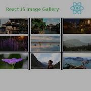 Part 3 Function Based Component CSS Styling Props Build A Image Gallery With ReactJS
