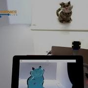 Raspberry Pi TensorFlow Lite And Qt QML Image Segmentation Example