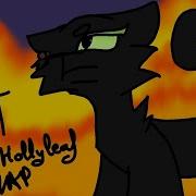 RÄT Complete Hollyleaf MAP