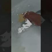 Bubble Bath Explosion Part 1
