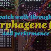 Custom Morphagene Reels Patch Walkthrough And Performance