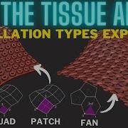 Tissue Addon Tessellate Options For Blender