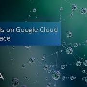 Getting Started With Nokia S Network As Code On Google Cloud Marketplace