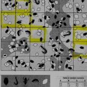 Sampling A Leaf Litter Population Tutorial