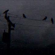 Lely45 Моя душа Slowed Reverb