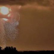 Blue Origin Rocket Explodes On The Launch Pad During An Engine Firing Test