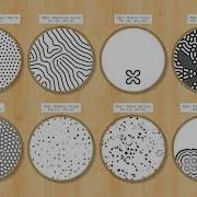 Diffusion Reaction Petri Dish Experiment 1