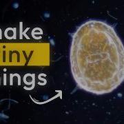 Creating Microscopic Life Blender Houdini