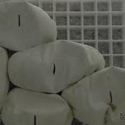 Time Lapse Ball Python Eggs Clutch 1 2023