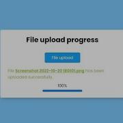 How To Create File Upload With Progress Bar Using HTML CSS JavaScript