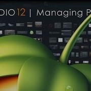 FL STUDIO 12 Managing VST Native Plugins