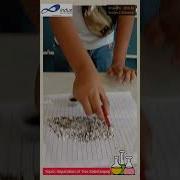 Separation Of Two Substances Science Activity Shaurith 6th Indus World School Ldh