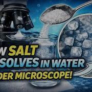 How Salt Dissolves In Water Under Microscope Science Trending Viral Microscope Short Amazing