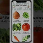 How To Setup Airtable In Your App Airtable Thunkable Feature Spotlight Shorts