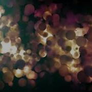 Trapcode Particular Animation 2