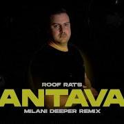 Roof Rats Antava Milani Deeper Remix