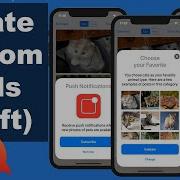 Create Bottom Cards In App Swift 5 Xcode 11 2020