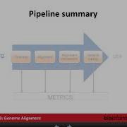 Genome Alignment