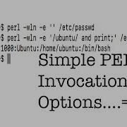 Simple PERL Invocation Options