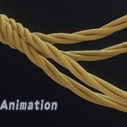Tut Procedural Rope Animation Blender Geometry Nodes 3 1 Field