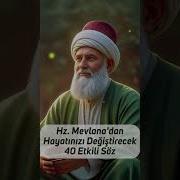 Hz Mevlana Nın Kalpleri Titreten 40 Etkili Sözü Hem Ağlayacak Hem Huzur Bulacaksınız