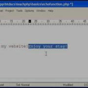 PHP Basics Echo Function