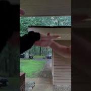 Super Smooth Handshake TUTORIAL Shorts