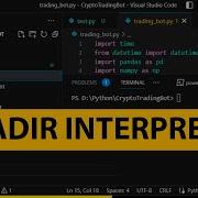 Cómo Agregar El Intérprete De Python En Visual Studio Code