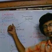Complement System Part 1 Introduction