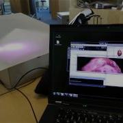 Testing Processing FadeCandy And Diffusion Material