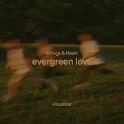 Strings And Heart Evergreen Love Visualizer