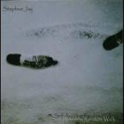 Stephen Jay Don T Throw It Away