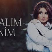 Şəbnəm Tovuzlu Vəfalım Mənim Official Music Audio