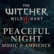 The Witcher Music Ambience Peaceful Night In Toussaint In 4K