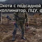 Теория и практика коллиматор ЛЦУ и фонарь для охоты охота с подсадной уткой