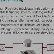 Oracle Exadata And Its Key Capabilities And Patching