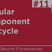 11 Angular Component Lifecycle