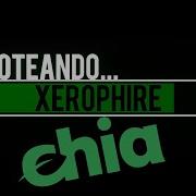 CHIA PLOT MANAGER