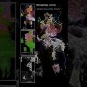 TouchDesigner Is One Of The Best Tools For Real Time Art