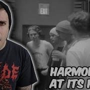 SO MANY HARMONIES 5SOS Making Of Killer Queen Reaction