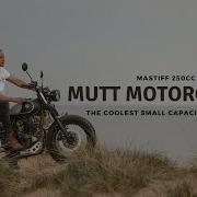 The Mutt Motorcycles Mastiff 250 The Coolest Small Capacity Bike I Take It On A Trip To Find Out