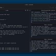 DNS Tunneling With DNSCat2