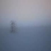 Cinema 4D Mograph FX Test
