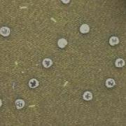Multi Robot Assignment And Formation Control