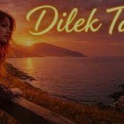 Sevdalinka Dilek Taşı Cover Gözümde Canlanır Koskoca Mazi