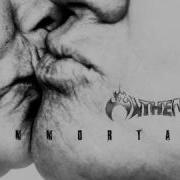 IMMORTAL BIND