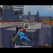PYTHON BTR Chicken Dinner In Golden Wood 11 Kills