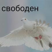 я свободен I Am Free русский RUSSIAN КИПЕЛОВ English Subtitles